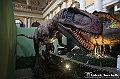 VBS_1041 - Dinosauri. Terra dei giganti